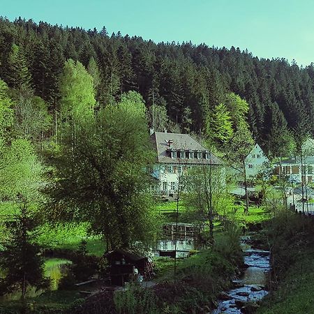 Gut Lauterbad Hotel Freudenstadt Ngoại thất bức ảnh